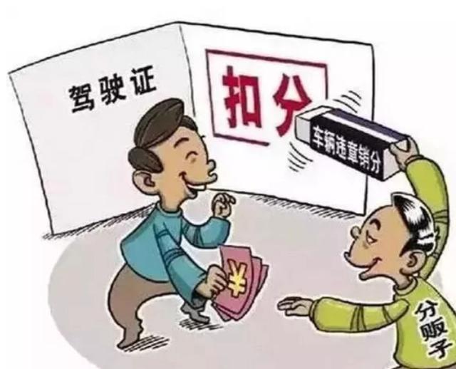 最新纪检查处,绿色之旅探寻内心平静之路