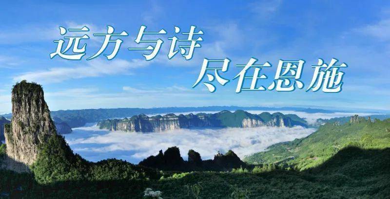 恩施肺炎最新动态，小巷深处的独特风味与最新进展
