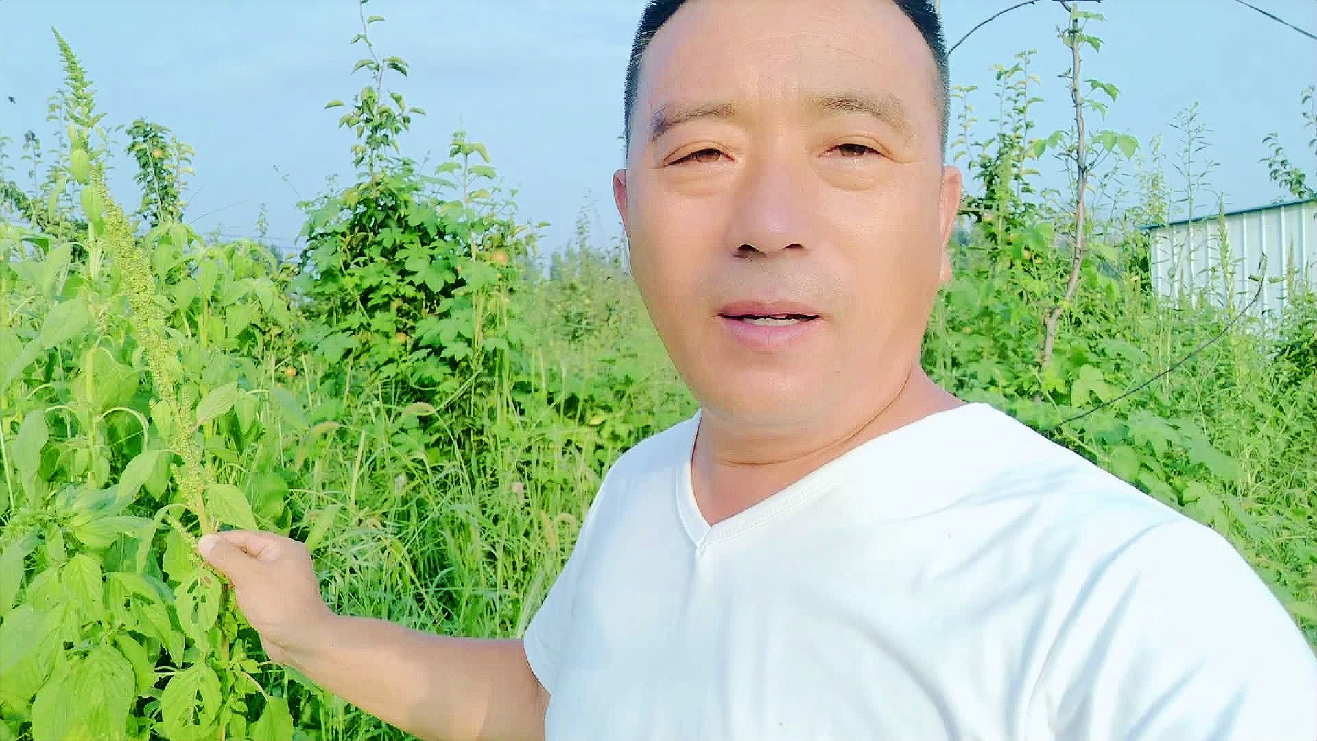 一站式落户 第255页