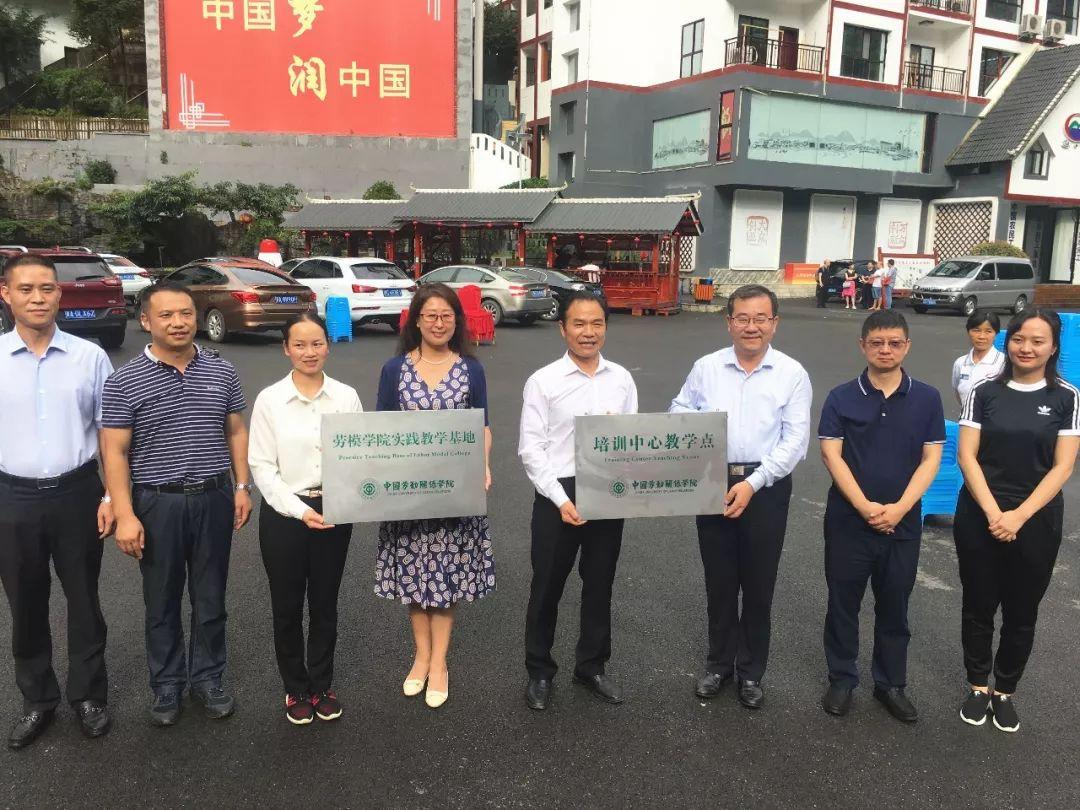 梦的最新理论研究概述