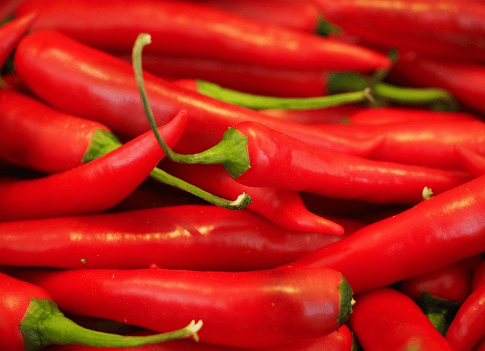 辣椒资讯全攻略,获取与解析辣椒信息的指南