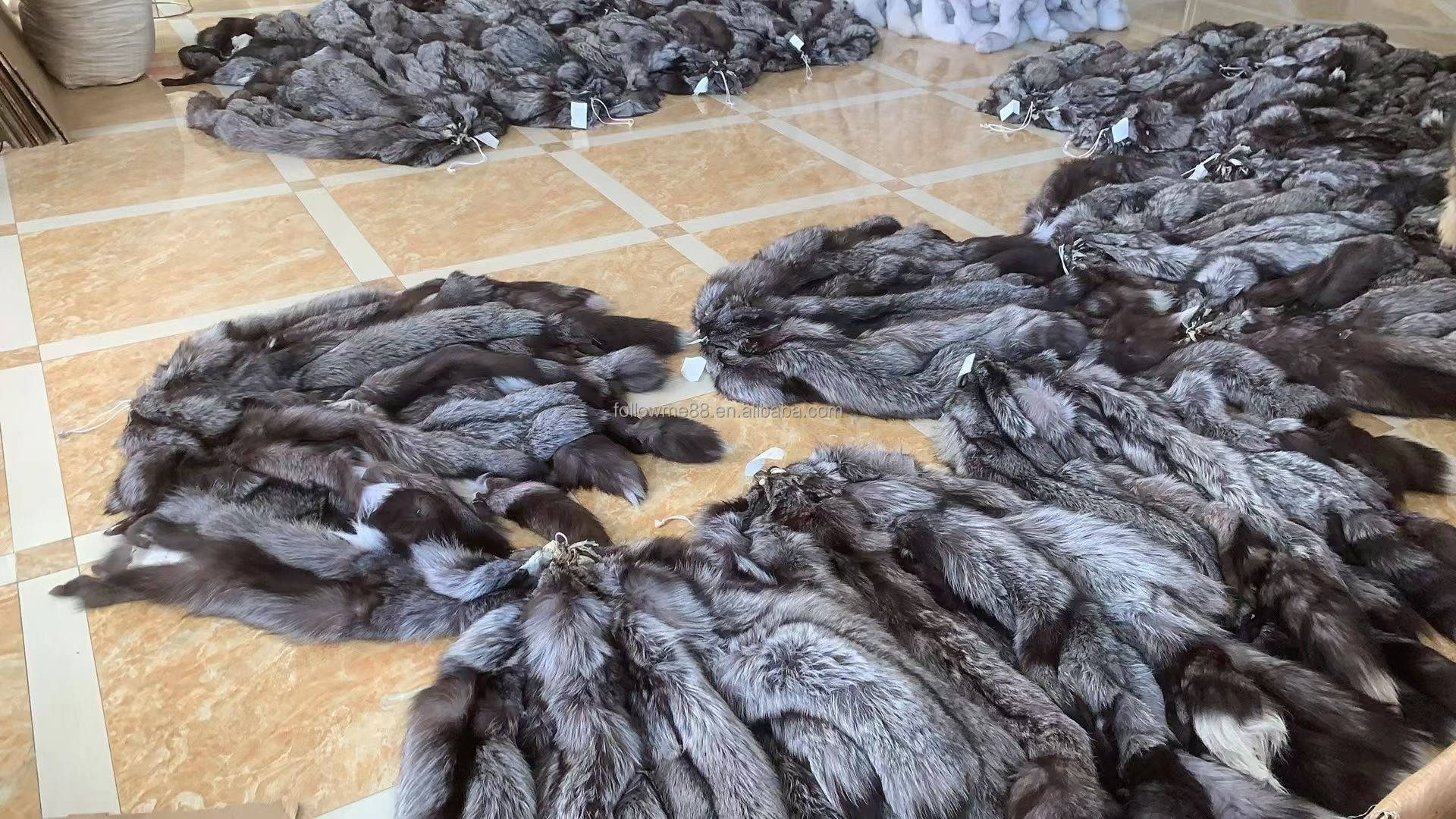 尚村狐狸皮最新价格解析与探讨