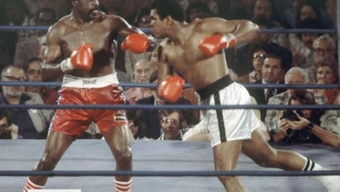 重量级拳王比赛,心灵之旅与平静的冒险之路