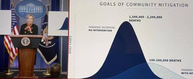 白宫最新动态大全,全面指南与步骤详解