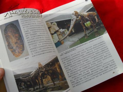 深入剖析摄影比赛素材的多元解读与视角