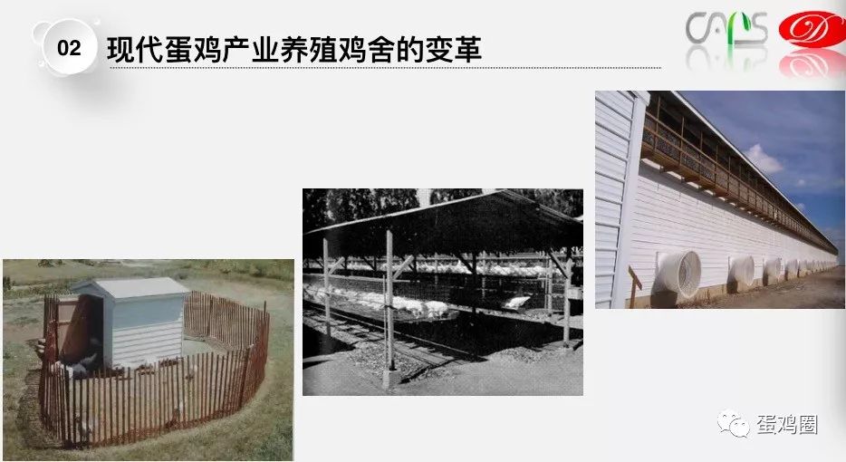 徐江新动态