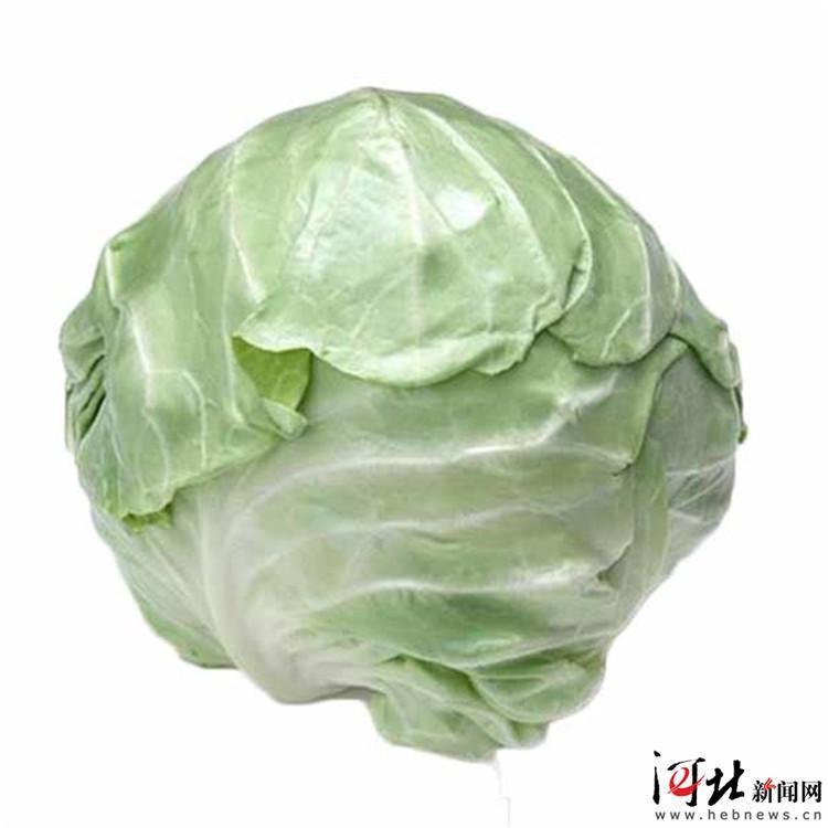 甘蓝最新价格行情详解，获取与解读甘蓝价格信息的指南