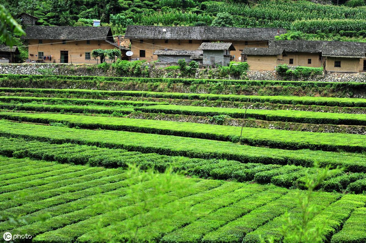 全面解析,企业股票上市程序及其走向资本市场的必经之路