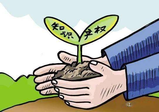 秦皇岛卢龙最新命案,应对与防范的详细步骤指南