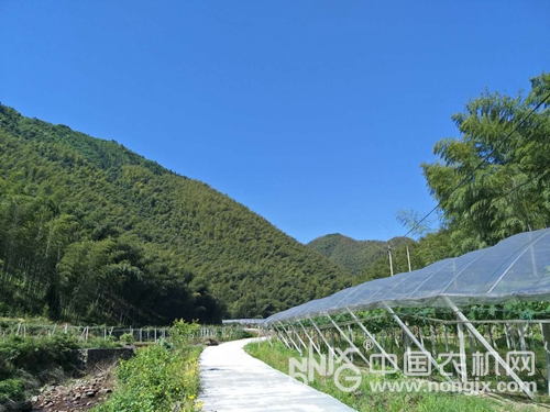 农业设施补助最新政策解读,政策细节与要点解析