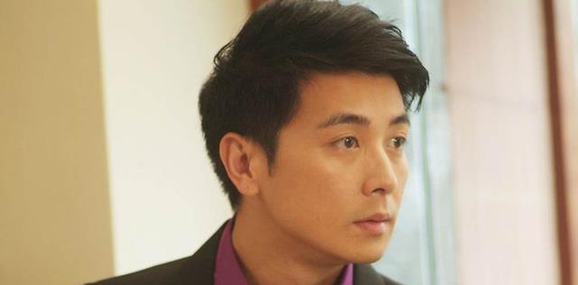 一帘幽梦主演阵容全解析