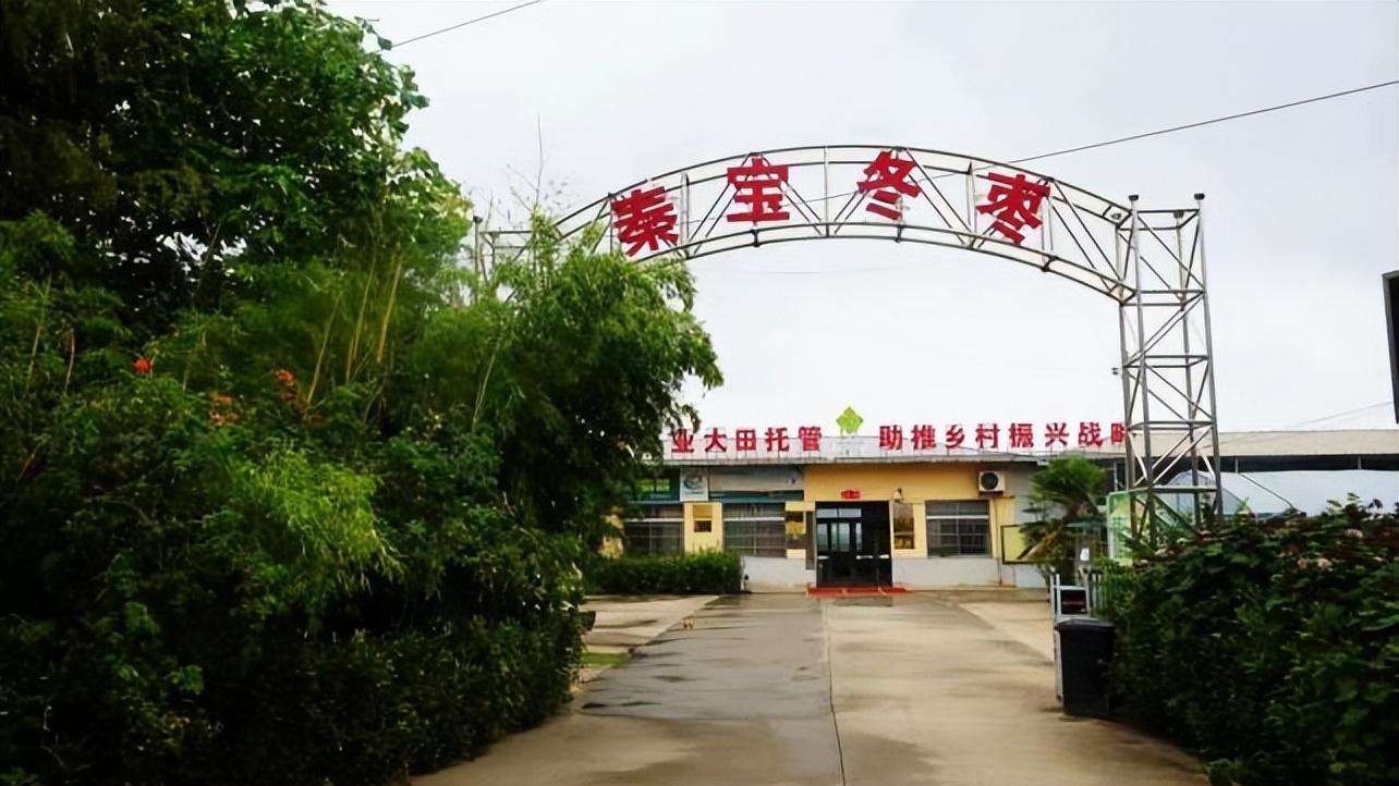 职业新篇章/加入学习与变化的怀抱