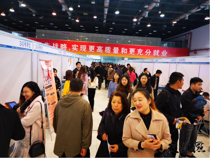 欢乐求职之旅