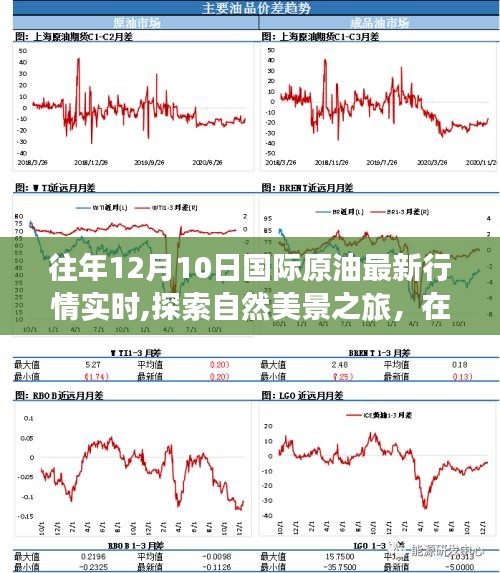 驾车探寻自然美景旅程