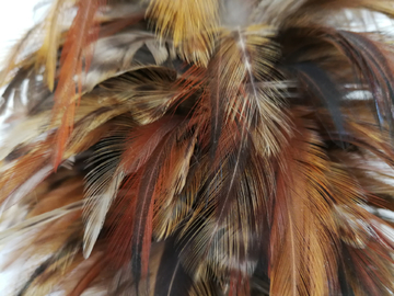 全新智能鸡毛产品引领潮流,鸡毛价格行情大揭秘!