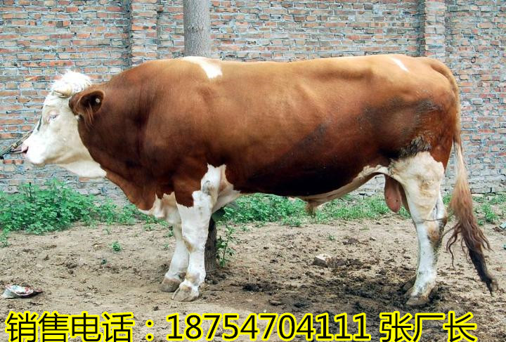 最新资讯报道