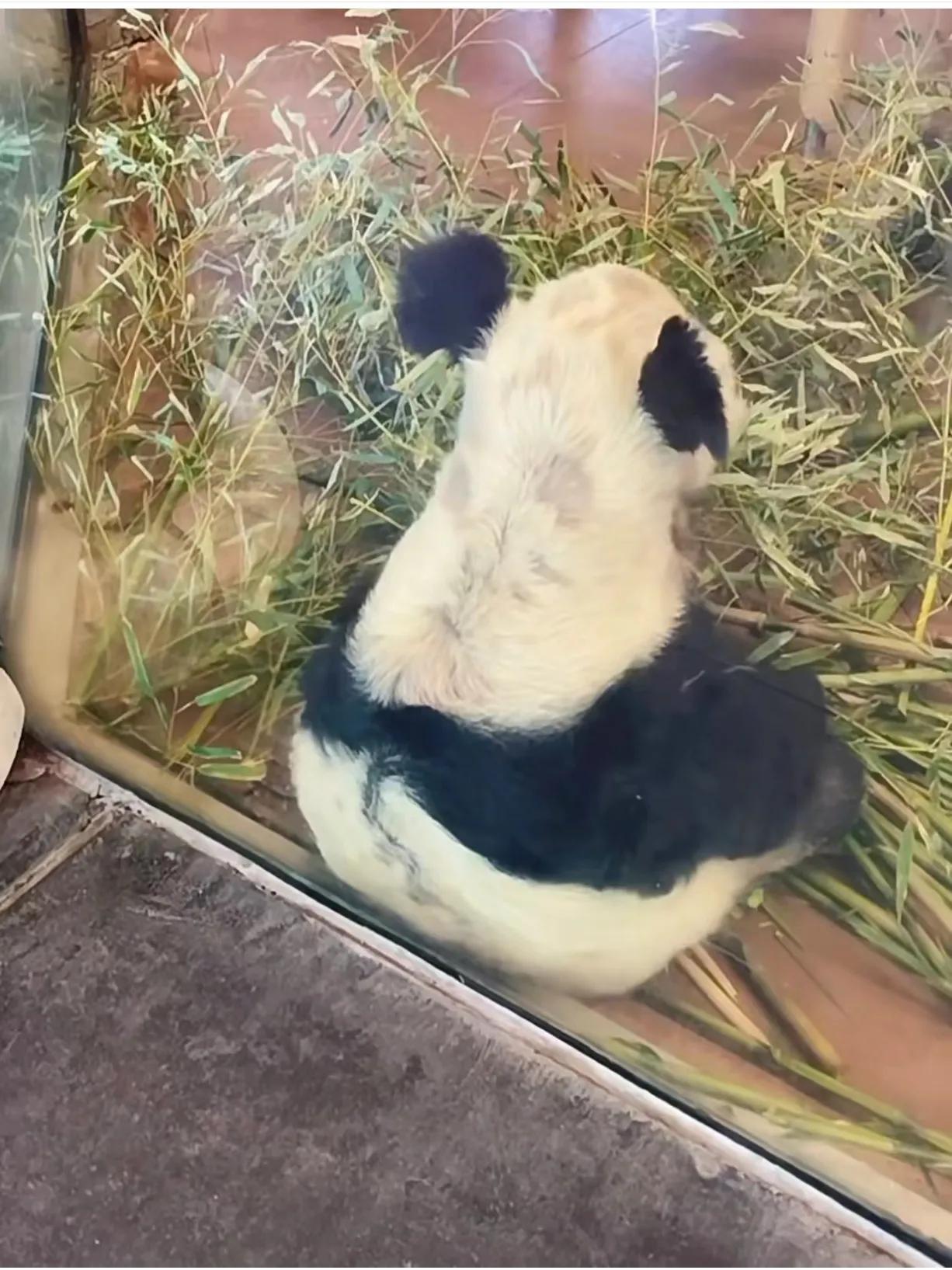 科技与生活交融