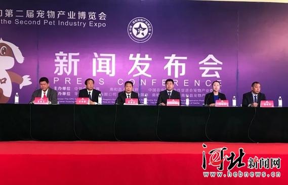 最新动态 第3页