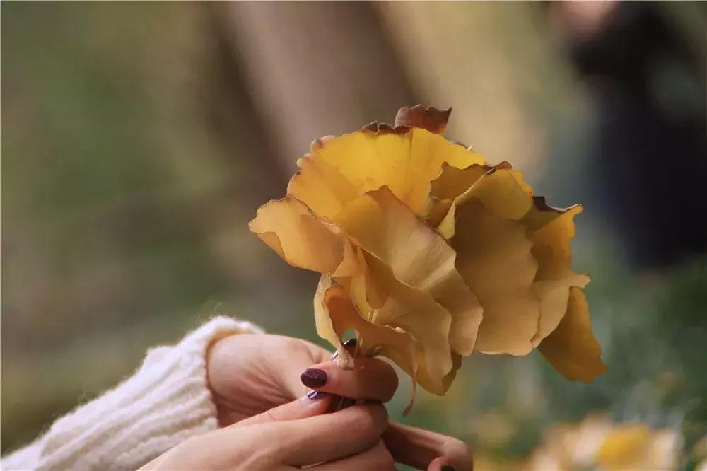 铜的最新动态,未来之光与持续学习之力