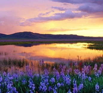 平板QQ最新版下载,自然美景的心灵之旅启程点