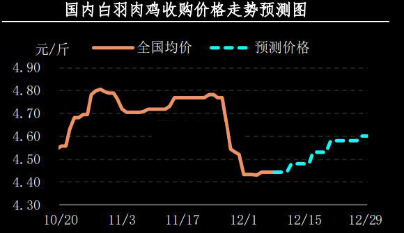 白羽肉鸡价格动态更新
