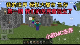 波克城市最新版下载,开启温馨之旅,体验日常趣事新篇章