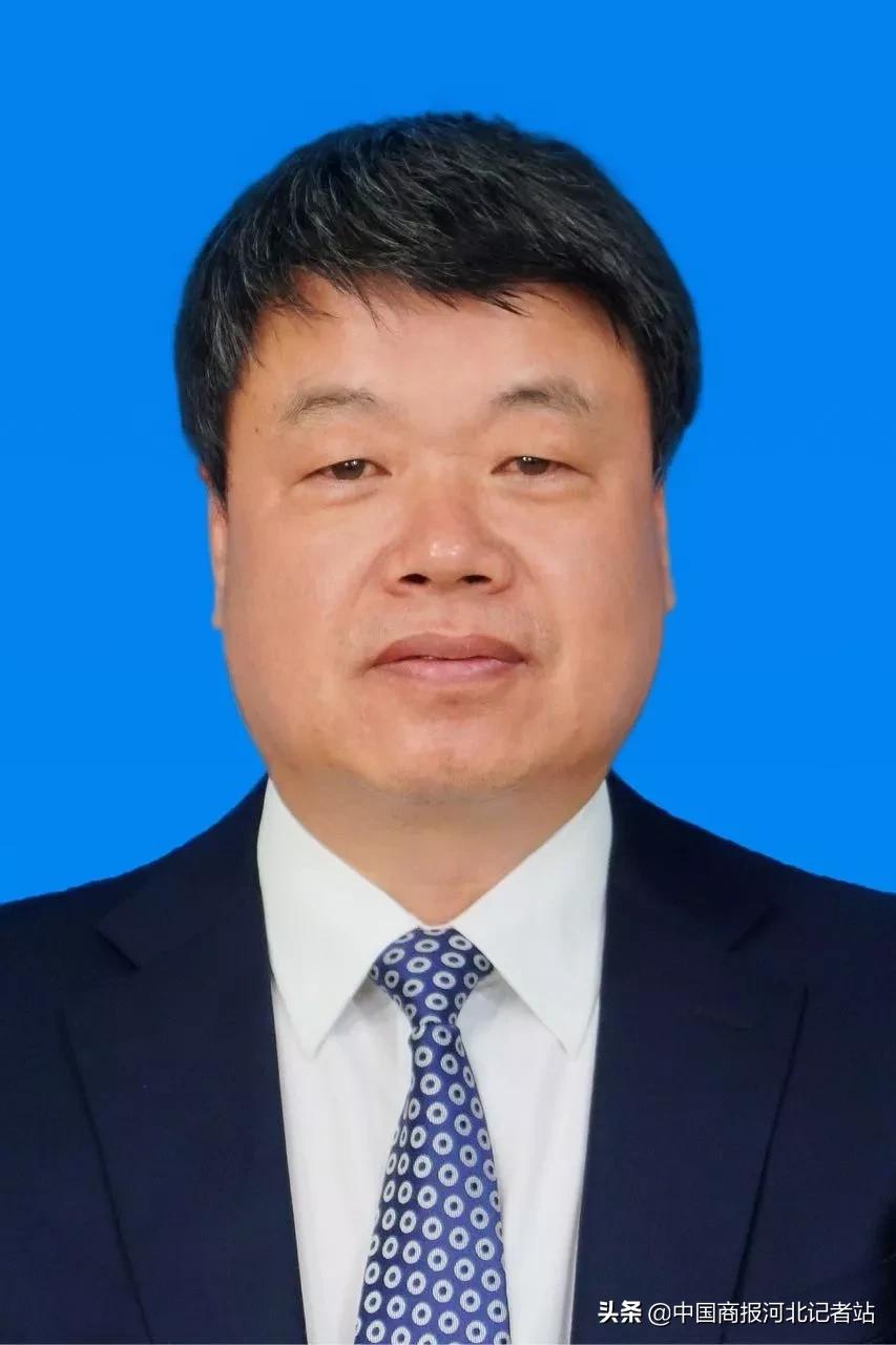 邯郸市最新任免动态及观点论述