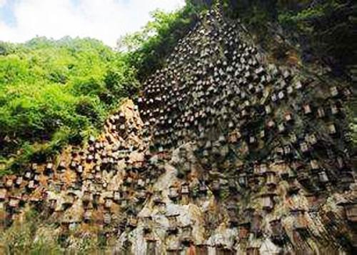 挑战与前景展望