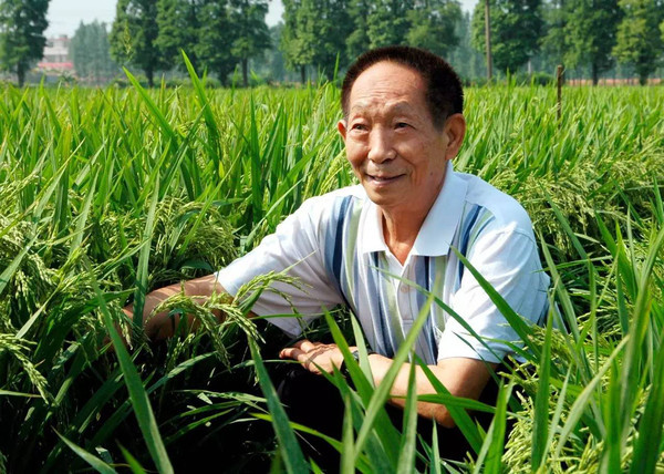 伟大科学家贡献与深远影响