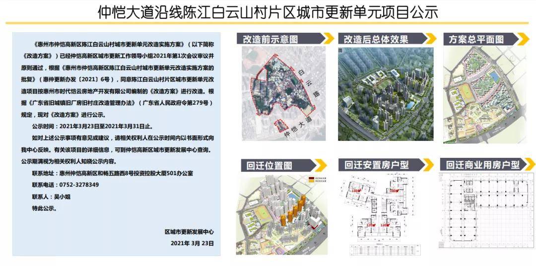 蒜黄价格动态，时代印记下的市场波动