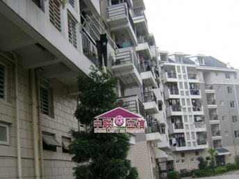 周巷房屋出租最新信息，优质房源，理想居住之选！