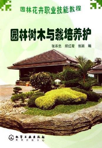 山竹最新动态及种植与养护全攻略揭秘