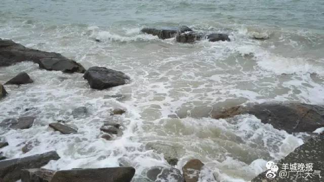 帕卡台风下的自然探索之旅