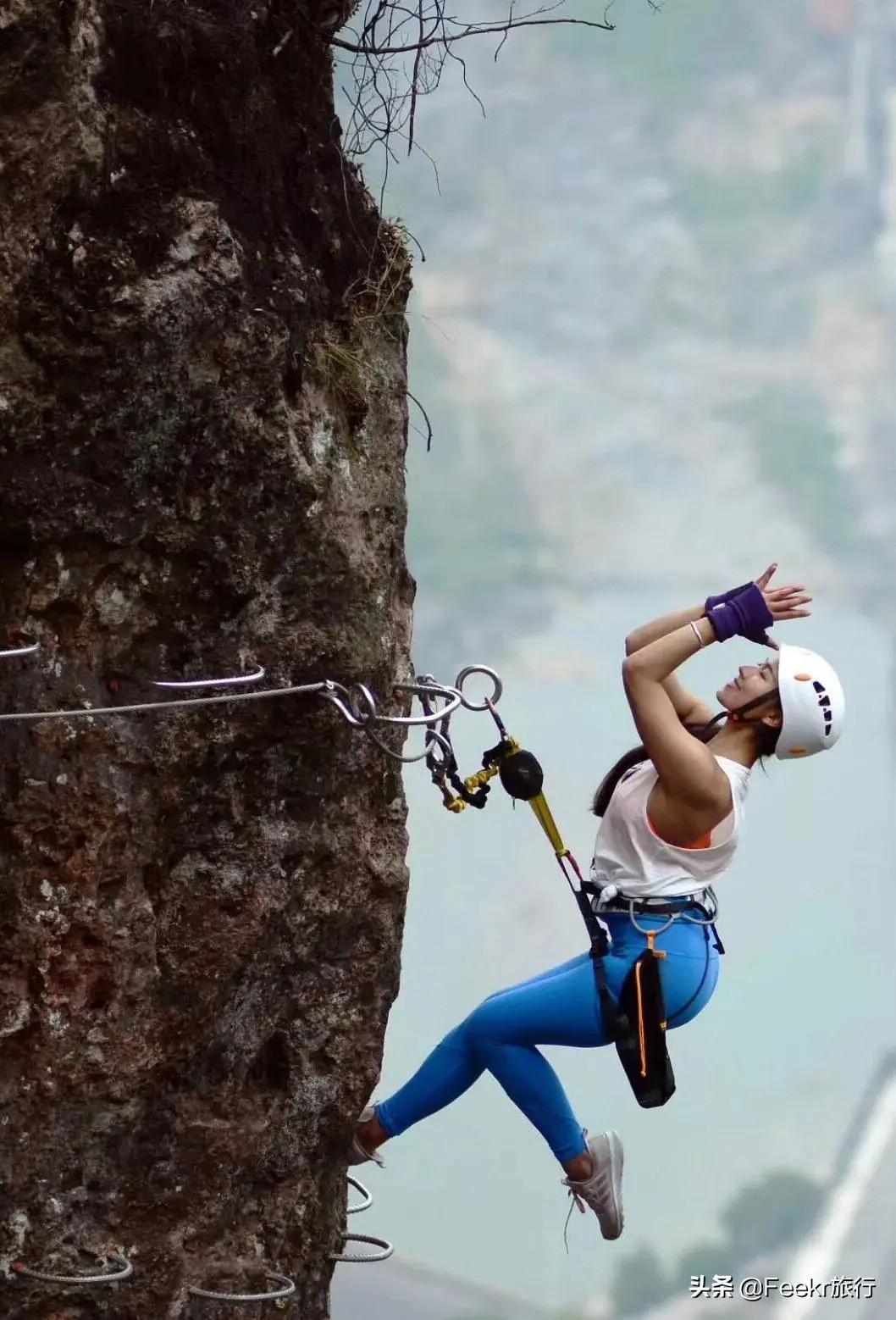 宫崎骏最新作品,自然探险之旅,探寻内心的平和与喜悦
