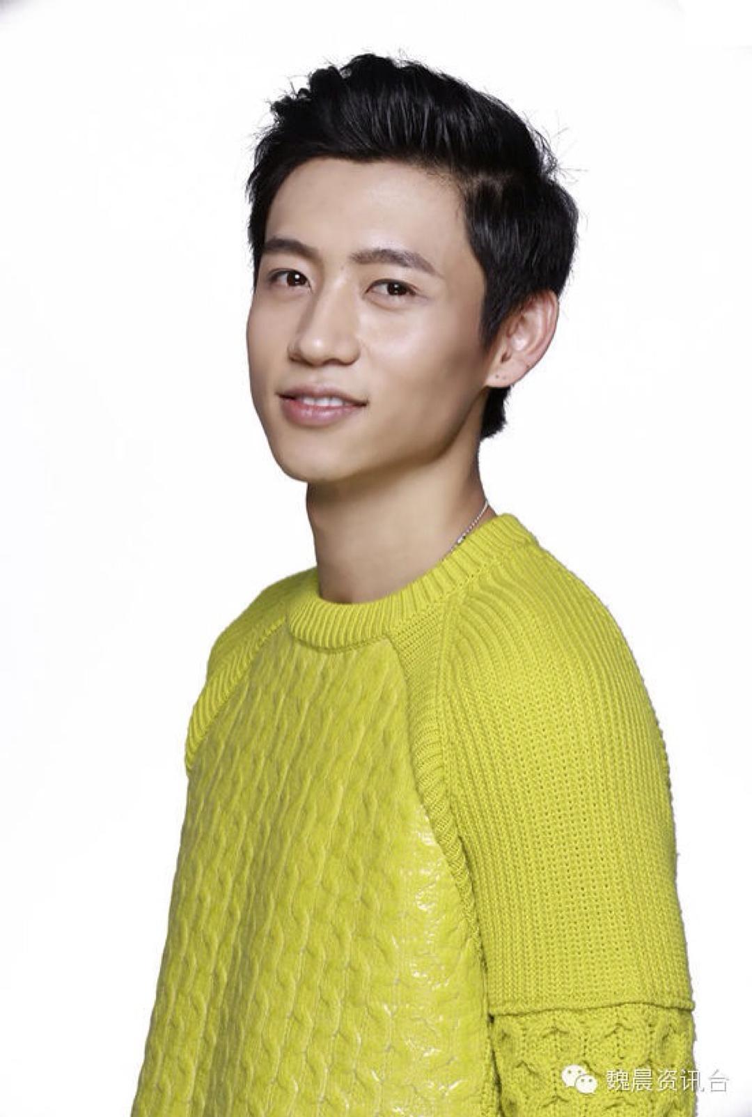 魏晨最新照片及获取步骤指南