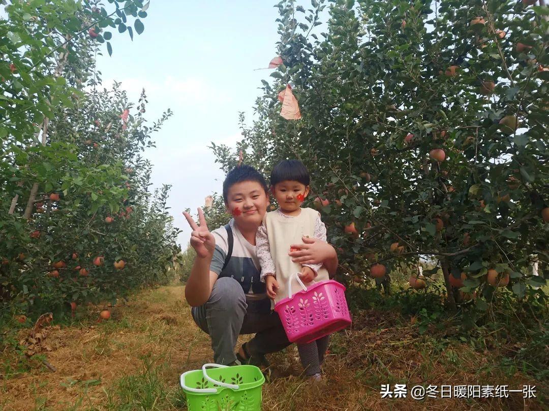 诸城房屋出租最新信息,开启新生活,从优质居住环境开始改变