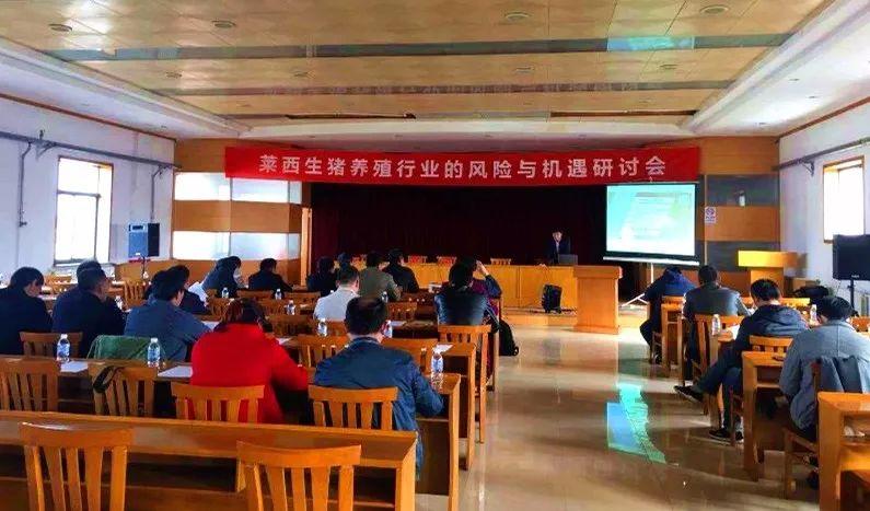 全国猪价格最新动态，变化中的机遇与自我成长的力量