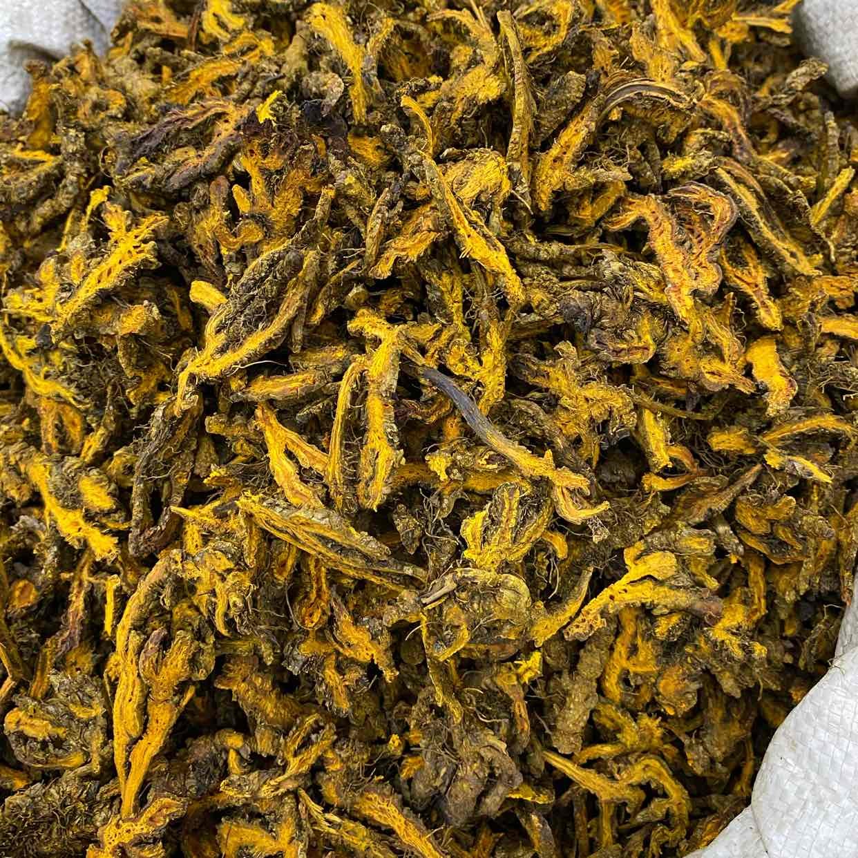 最新黄连价格及市场走势深度解析