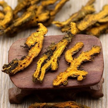 最新黄连价格及市场走势深度解析