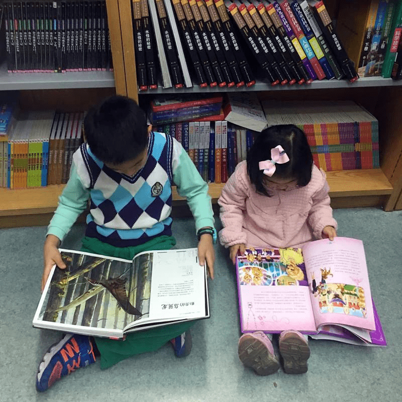 最新七本书,学习变化,开启自信与成就感的魔法之旅