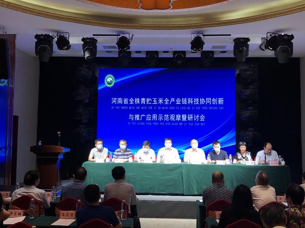 中天能源引领科技潮流，重塑能源未来，最新消息揭秘发展动态