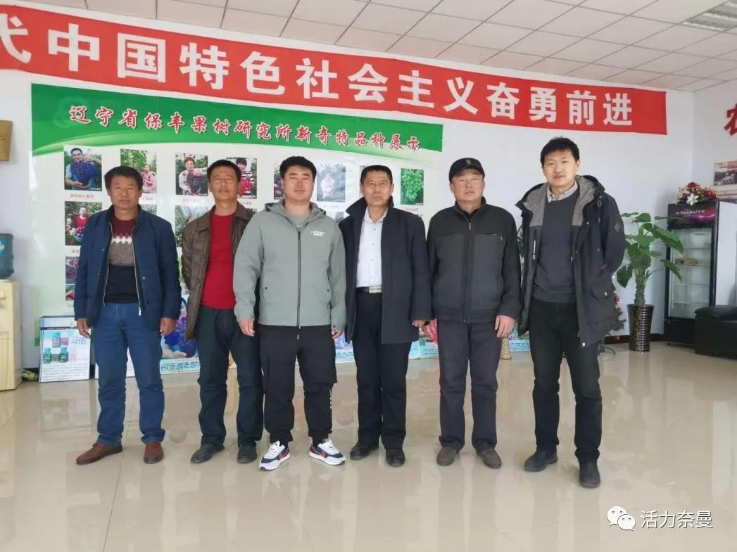 最新党建内容深度解析，某某观点的探讨与解析