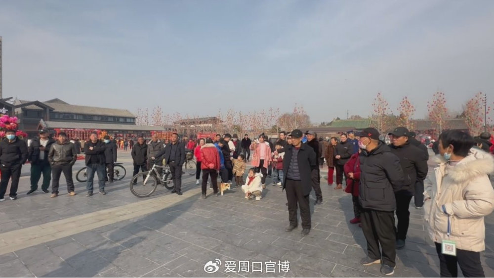 河南周口最新动态，日常趣事与深厚友情的交织