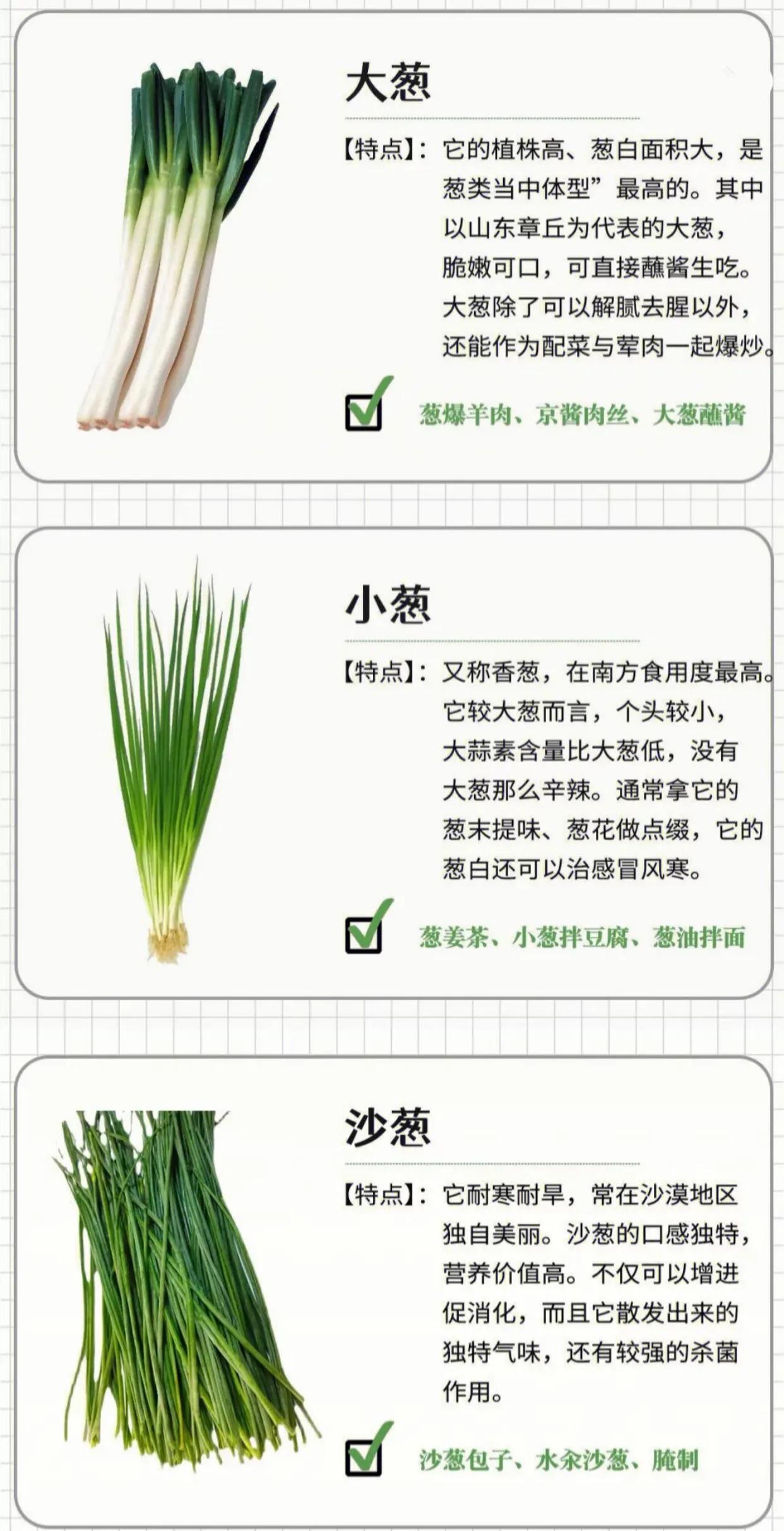 禾辉云文化科技 第21页