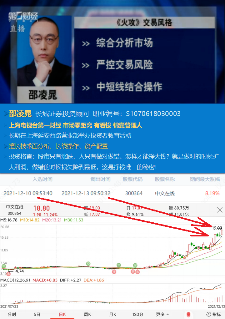 最新版同花顺下载，股市中的温情故事与实用工具