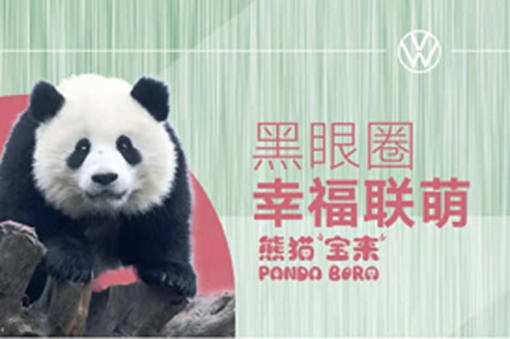 熊猫驾最新版本下载，驾驭技术，启程未来！