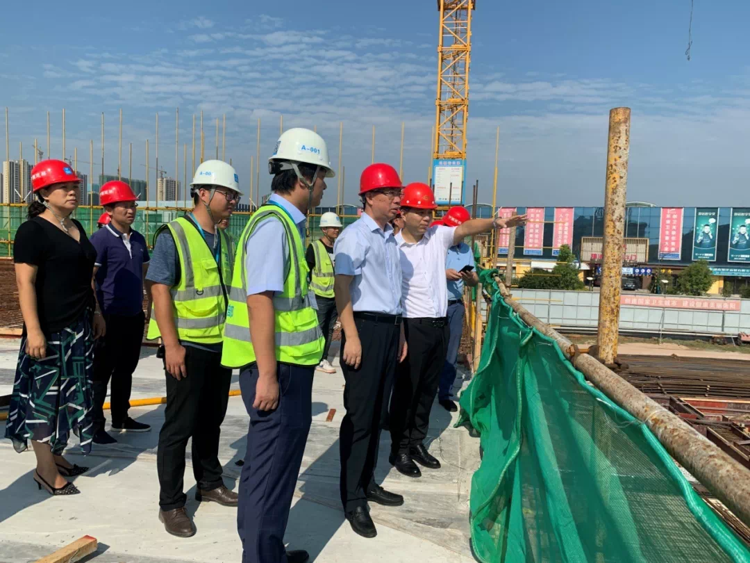 衡阳市石鼓区领导引领自然探索之旅,寻求内心平和与宁静的新篇章