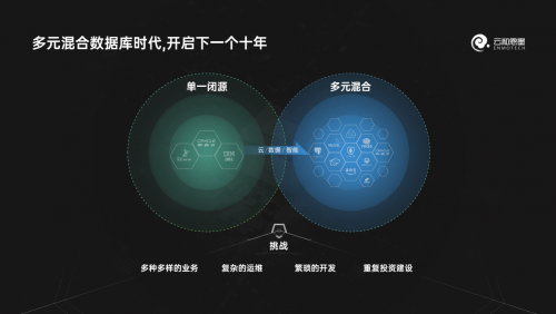 时代之光下的绚烂篇章，白青青颜子佩最新章节
