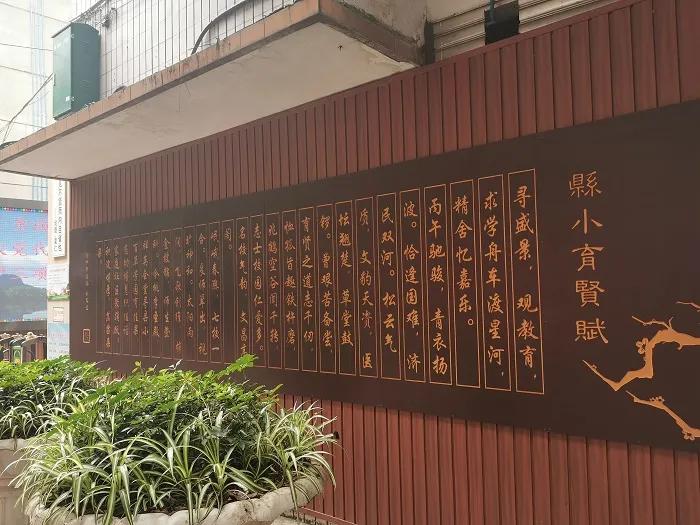 乐山凤洲坝最新动态更新
